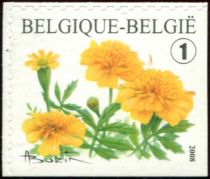 Tagetes portula, imperf right and bottom