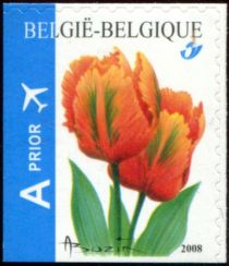 Tulip Orange Favorite, imperf left and bottom