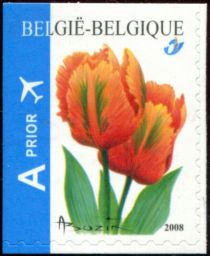 Tulip Orange Favorite, imperf left and top