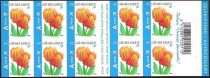 Booklet Tulip Orange Favourite