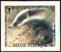 European Badger (Meles meles) - left + bottom imperforate