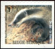 European Badger (Meles meles) - right + bottom imperforate