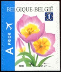 Tulip Bakeri, Bottom imperforate