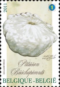 Vegetables of the past: Pâtisson - Bisschopsmuts