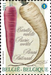 Vegetables of the past: Carotte violette - Paarse wortel - P