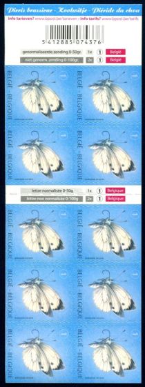 Booklet - Large White (Pieris brassicae)