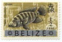 Crana (Tilapia mossambica) - Overprinted