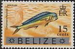 Common Dolphinfish (Coryphaena hippurus) - Overprinted