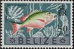 Mutton Snapper (Lutianus analis) - Overprinted