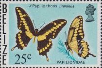 King Swallowtail (Papilio thoas)