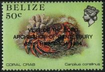 Coral Crab (Carpilius corallinus) - Overprinted