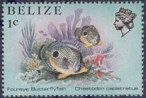 Foureye Butterflyfish (Chaetodon capistratus)