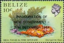 Sea Fan & Fire Sponge - Overprinted