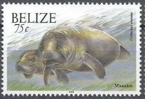 Manatee (Trichechus manatus)