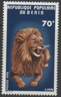 Lion (Panthera leo)