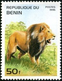 Lion (Panthera leo)