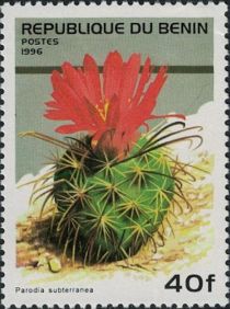 Parodia Subterranea