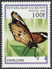 African Monarch (Danaus chrysippus)