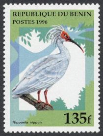 Crested Ibis (Nipponia nippon)