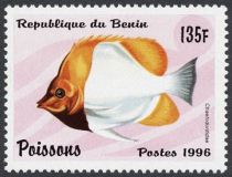 Pyramid Butterflyfish (Hemitaurichthys polylepis)