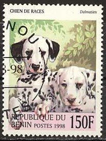 Dalmatian (Canis lupus familiaris)