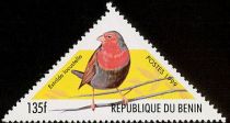 Locustfinch (Estrilda locustella)