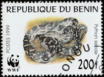 African Rock Python (Python sebae)