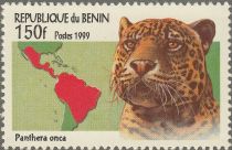 Jaguar (Panthera onca)