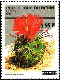 Parodia subterranea, overprint