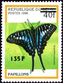 Graphium Policenes, overprint