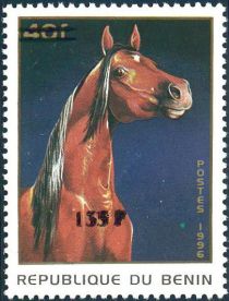 Horse (Equus ferus caballus), overprint