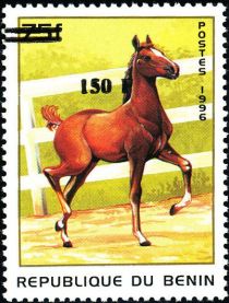 Horse, overprint