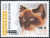 Seal Colourpoint (Felis silvestris catus), overprint