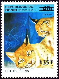 Lynx Lynx, overprint