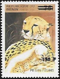 Cheetah (Acinonyx jubatus), surcharged