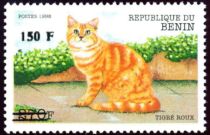 Red Striped Cat (Felis silvestris catus), overprint