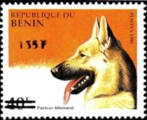 German Shepherd (Canis lupus familiaris), overprint