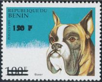 German Boxer (Canis lupus familiaris), overprint