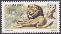 Lion (Panthera leo)