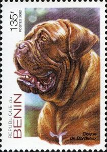 Dogs Dogue de Bordeaux