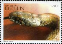 Reptiles - European Grass Snake (Natrix natrix)