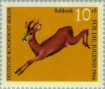 Western Roe Deer (Capreolus capreolus)