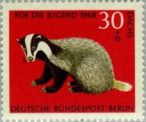 European Badger (Meles meles)