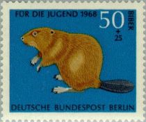 Eurasian Beaver (Castor fiber)