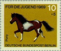 Pony (Equus ferus caballus)