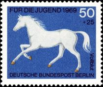 Thoroughbred (Equus ferus caballus)