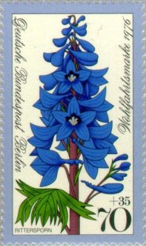 High Larkspur