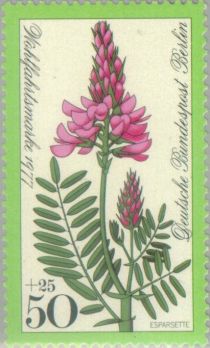 Sainfoin