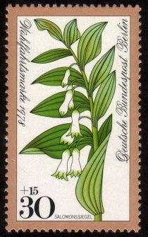 Solomon's seal (Polygonatum odoratum)