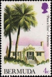 Palmettos